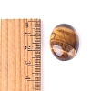 Natural Tiger Eye Cabochons PW-WGEFD9A-08-3