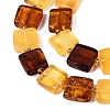 Natural Amber Beads Strands G-N371-15B-01-4