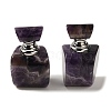 Natural Amethyst Dropper Perfume Bottles DJEW-H010-02P-01-1