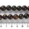 Natural Polychrome Jasper/Picasso Stone/Picasso Jasper Beads Strands G-C160-01-10mm-5