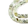 Natural Prehnite Beads Strands G-N342-124-3