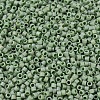MIYUKI Delica Beads SEED-MY11-DB2310-3