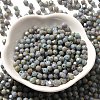 Baking Paint Glass Seed Beads SEED-A032-02A-16-2