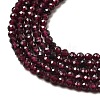 Natural Garnet Beads Strands G-I341-09B-01-3