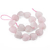 Natural Rose Quartz Beads Strands G-S359-342-2