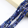 2 Strands Natural Lapis Lazuli Beads Strands G-PA0001-78-3