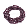 Natural Garnet Chip Beads Strands X-G-L491-06-3