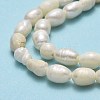 Natural Cultured Freshwater Pearl Beads Strands PEAR-J006-08B-01-4