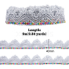 Sparkle Polyester Lace Ribbons OCOR-WH0080-16A-2