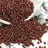 TOHO 8/0 Round Beads X-SEED-TR08-1708-1
