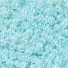 Glass Seed Beads SEED-H002-H-1304-3