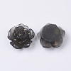 Translucent Resin Cabochons X-RESI-S364-45A-2