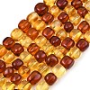 Two Tone Natural Amber Beads Strands G-K426-A03-06-2