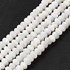 Natural Freshwater Shell Beads Strands BSHE-E026-15B-02-1