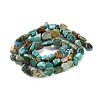 Natural Hubei Turquoise Beads Strands G-P497-01C-51-3