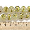 Handmade Lampwork Beads Strands LAMP-L079-05H-4