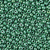 6/0 Czech Opaque Glass Seed Beads SEED-N004-003D-13-4