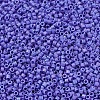 MIYUKI Delica Beads SEED-J020-DB1597-3