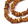 Natural Trochid Shell/Trochus Shell Beads Strands SHEL-S258-081-B09-3