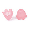 Transparent Acrylic Bead Caps FACR-N005-002G-4