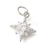 Brass Micro Pave Cubic Zirconia Pendants KK-V008-09P-1