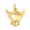 Brass Pendants LS-KK-A202-01E-G-1