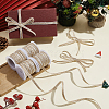 Jute Ribbons SRIB-WH0011-451B-4