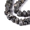 Natural Syenite Beads Strands G-N327-05-27-3