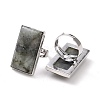 Adjustable Rectangle Natural Labradorite Brass Rings RJEW-N024-01A-3