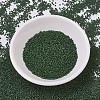 MIYUKI Delica Beads SEED-X0054-DB0797-2