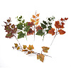 Crafans 30Pcs 6 Colors Artificial Plastic Maple Leaf AJEW-CF0001-03-2