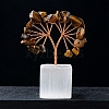 Natural Tiger Eye Chips Tree of Life Decorations PW-WG21303-06-1
