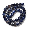 Natural South Africa Sodalite Beads Strands G-S259-35-8mm-7