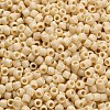 TOHO 6/0 Round Beads X-SEED-TR06-0051-3