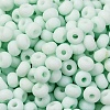 Baking Paint Glass Seed Beads SEED-C003-02I-3