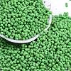 Baking Paint Glass Seed Beads X1-SEED-K010-A27-1