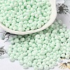 6/0 Opaque Baking Paint Glass Seed Beads SEED-M012-02A-15-1