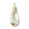 Electroplated Natural Freshwater Shell Pendants PALLOY-JF03336-3