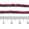 Natural Garnet Beads Strands G-H079-A01-02B-5