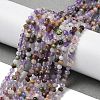 Natural Amethyst Beads Strands G-G189-D23-02-2