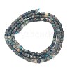 Natural Chrysocolla Beads Strands G-H003-A01-01-5