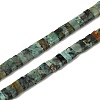 Natural African Turquoise (Jasper) Beads Strands G-Z045-A10-01-1