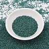 MIYUKI Delica Beads X-SEED-J020-DB2381-2