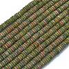 Frosted Natural Unakite Beads Strands G-K389-C21-01-1