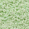 Macaron Color Opaque Frosted Glass Seed Beads SEED-K009-12B-06-3