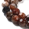 Natural Petrified Wood Beads Strands G-C150-B01-02-3