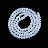 Glass Beads Strands EGLA-A044-J3mm-D06-3