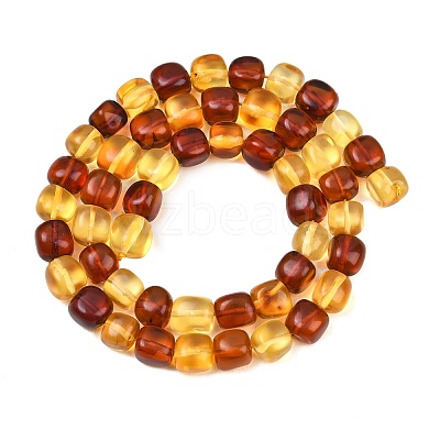Two Tone Natural Amber Beads Strands G-K426-A03-06-1