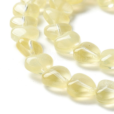Transparent Glass Beads Strand GLAA-F112-01D-1