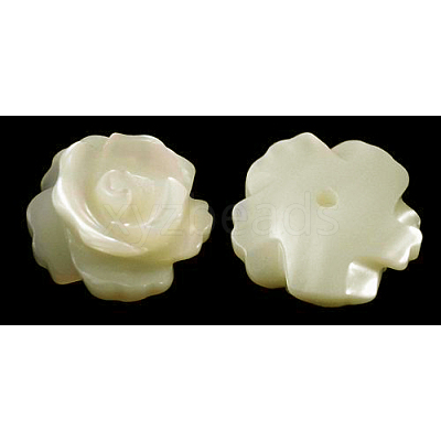 Half Drilled Natural White Shell Rose Flower Flatback Beads X-SH159-1